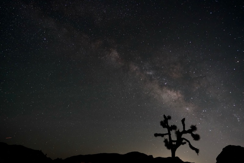 Joshua Tree, California