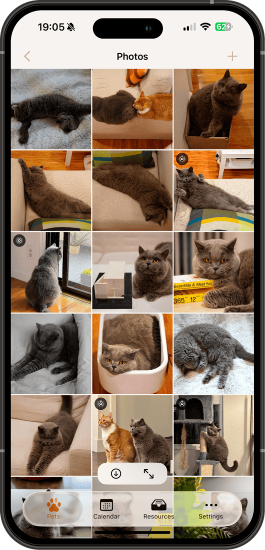 Photo gallery