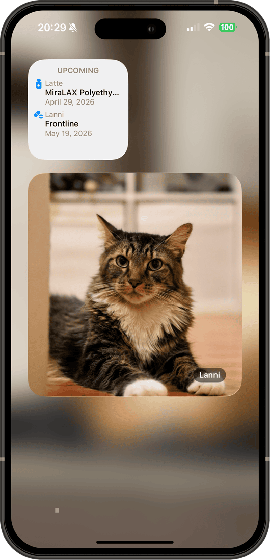 Home screen widgets
