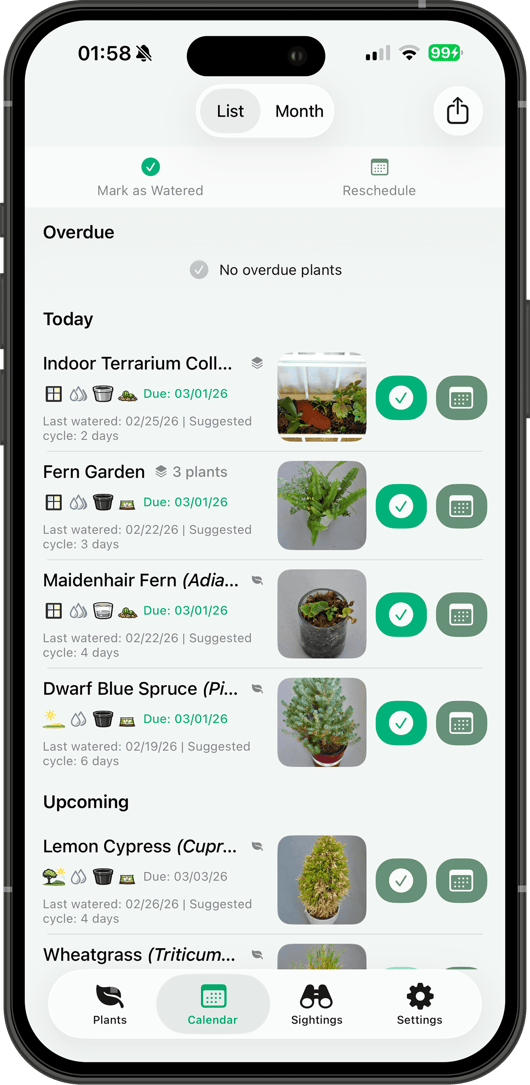 Watering list