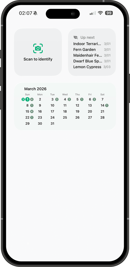 Home screen widgets